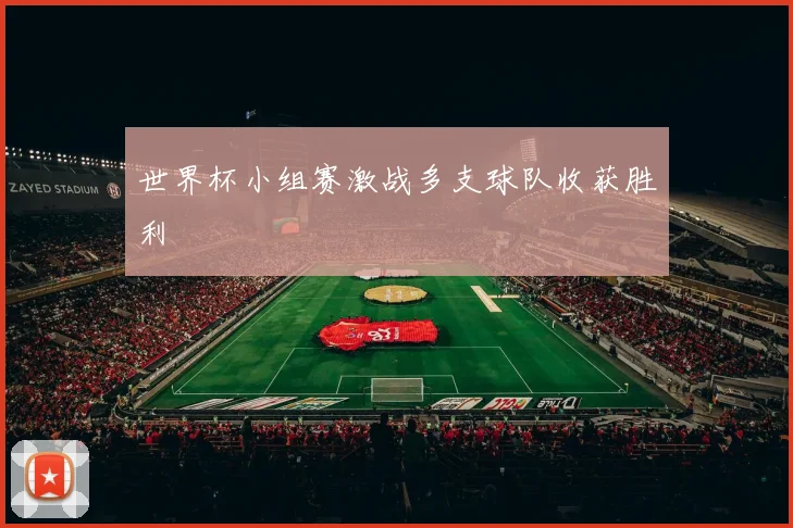 世界杯小组赛激战多支球队收获胜利