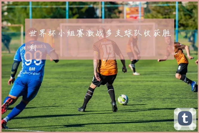 世界杯小组赛激战多支球队收获胜利